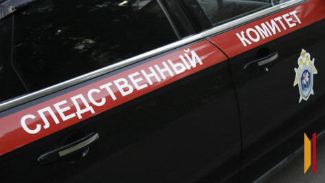 В Воронеже после падения ветки на людей в Южном парке возбудили дело