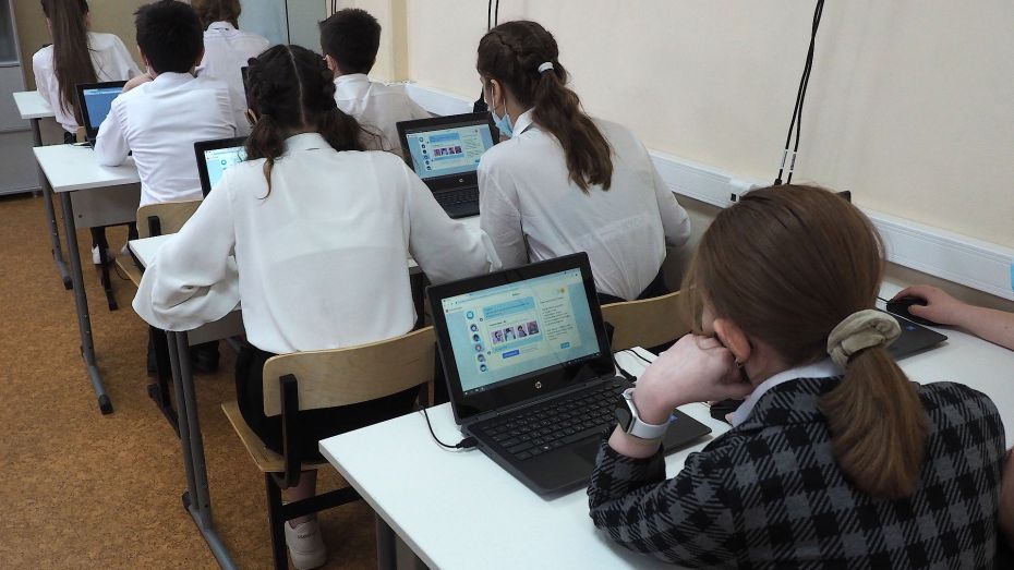 Качество образования в Воронежской области оценили по модели PISA