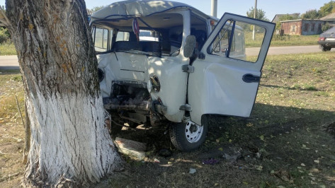 В Воронежской области водитель УАЗа врезался в дерево и погиб