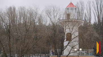 Итоги недели. Что важного произошло в Воронежской области с 1 по 7 декабря
