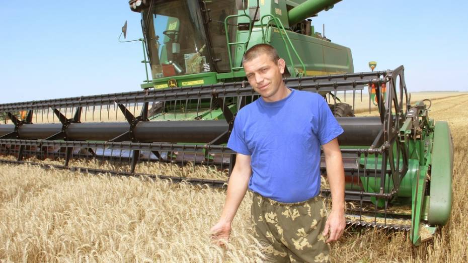 Урожайность ранних зерновых в Лискинском районе достигла 34,9 центнера с га
