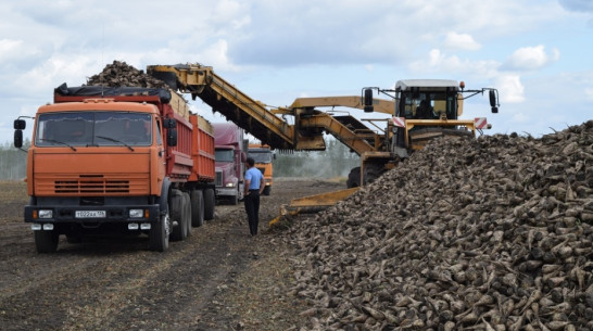 Все воронежские сахзаводы «Продимекс» вышли на проектную мощность