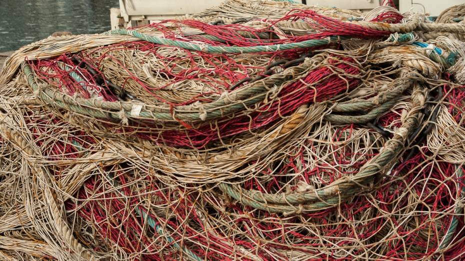 В Аннинском районе рыбака оштрафовали за самодельную огромную сеть