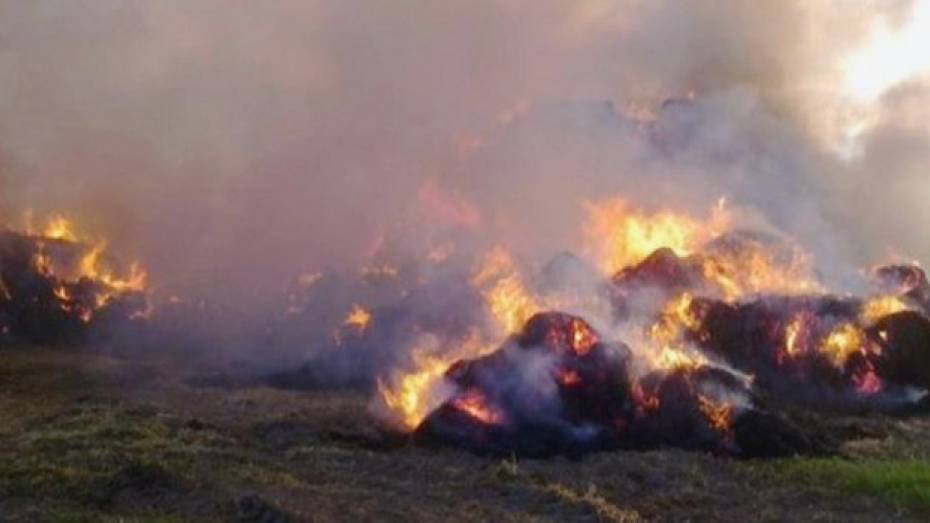 Петропавловские полицейские ищут поджигателей, уничтоживших в частном хозяйстве 90 тюков сена и соломы 