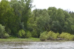Пенсионер из Воронежской области пойдет под суд по обвинению в убийстве охранника озера