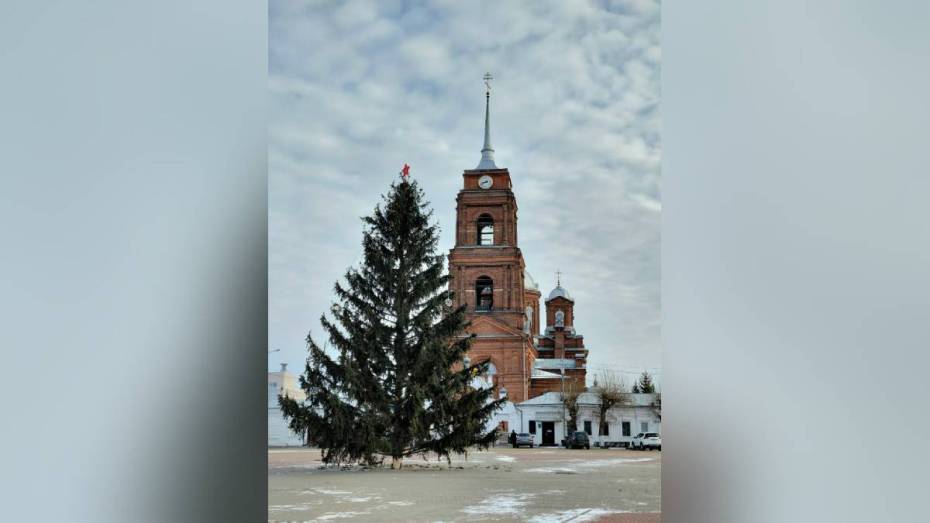 В Бутурлиновке упавшую из-за ветра новогоднюю ель вернули на место