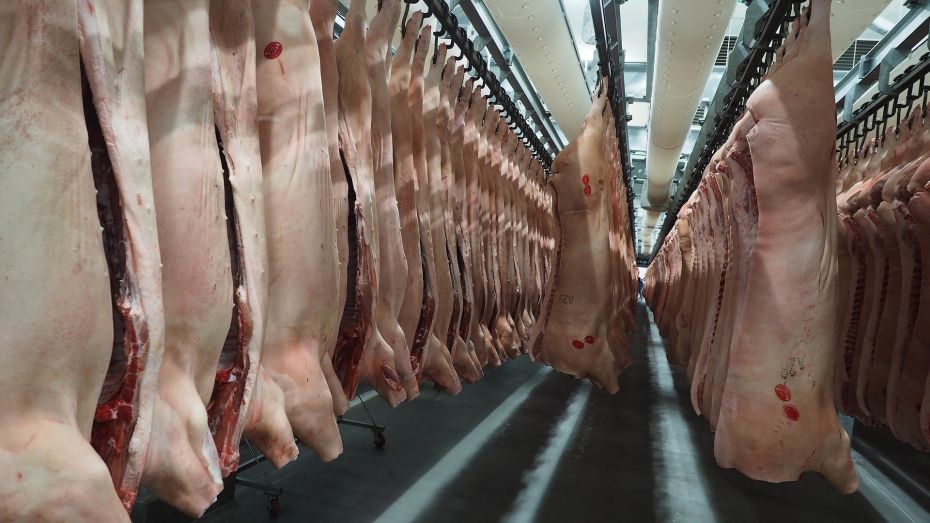 Производство мяса в Воронежской области выросло на 57,5 тыс тонн в 2022 году