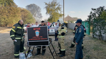 Пожар в воронежском селе Журавка локализован на площади 1 га