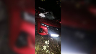 Пара из Воронежа разбилась в ДТП в Россошанском районе