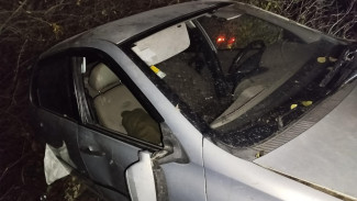 В Воронежской области разбилась «Лада Калина»: водитель погиб