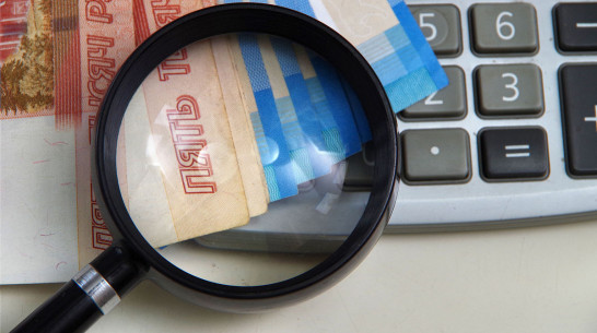 Воронежцы поставили «на паузу» кредиты на 6 млрд рублей