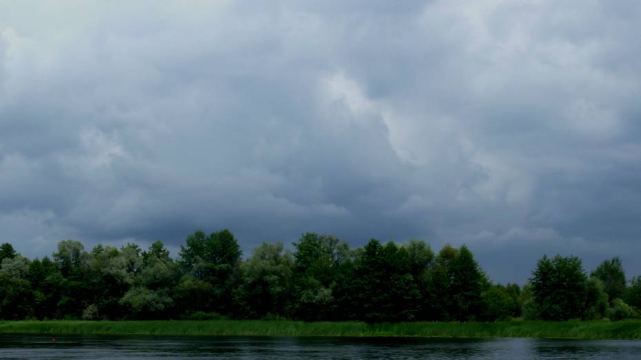 Всю неделю в Воронеже и области будет нежарко и облачно   