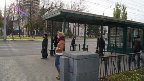 Власти Воронежа подобрали перевозчика на невостребованные автобусные маршруты 