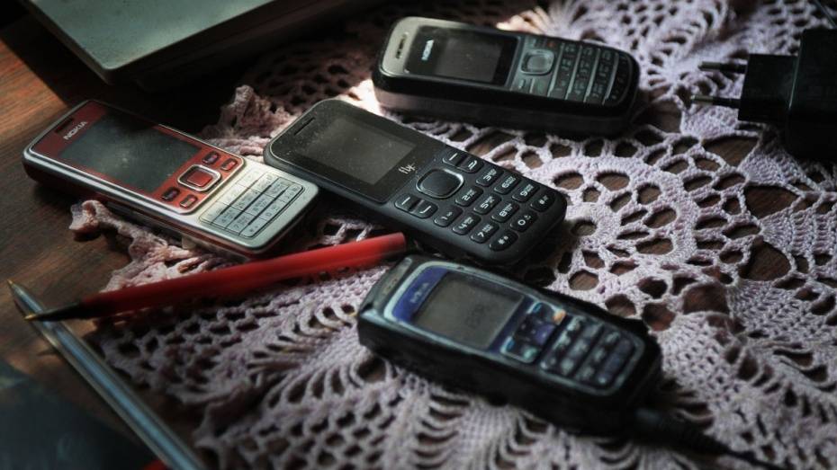 Полиция предупредила воронежцев о росте числа случаев телефонного мошенничества