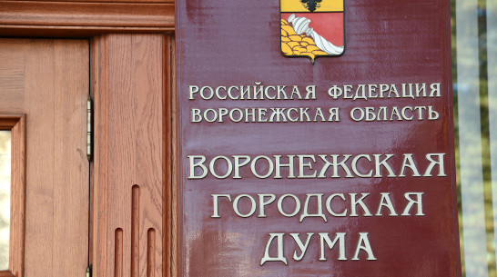 В Воронеже приняли бюджет города на 2024 год