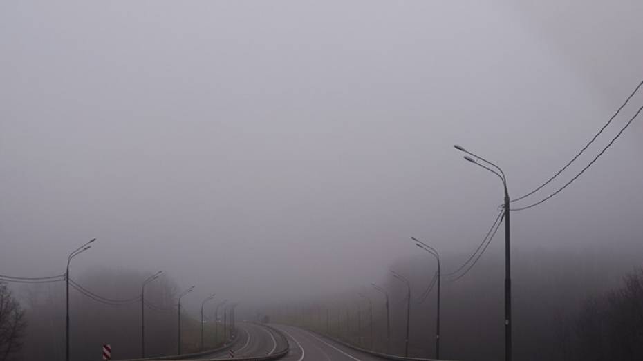 Новая неделя в Воронеже будет туманной и сырой