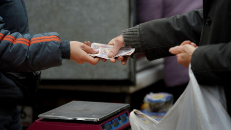 Средняя зарплата в Воронежской области составила 27,9 тыс рублей