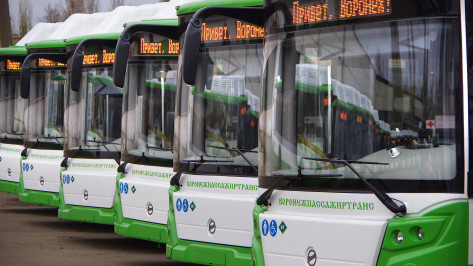 Более 1,4 млрд рублей направят на новые автобусы в Воронежской области