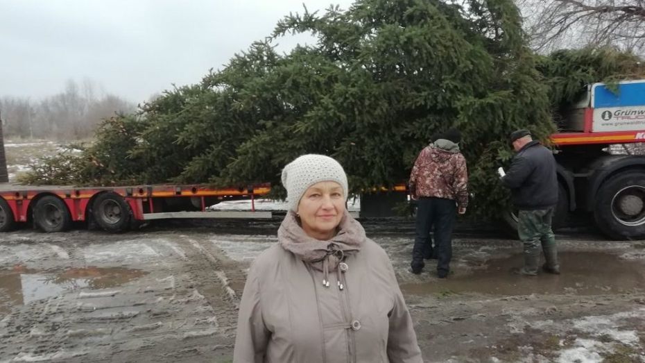 Супруги из богучарского села Липчанка подарили землякам 12-метровую ель 