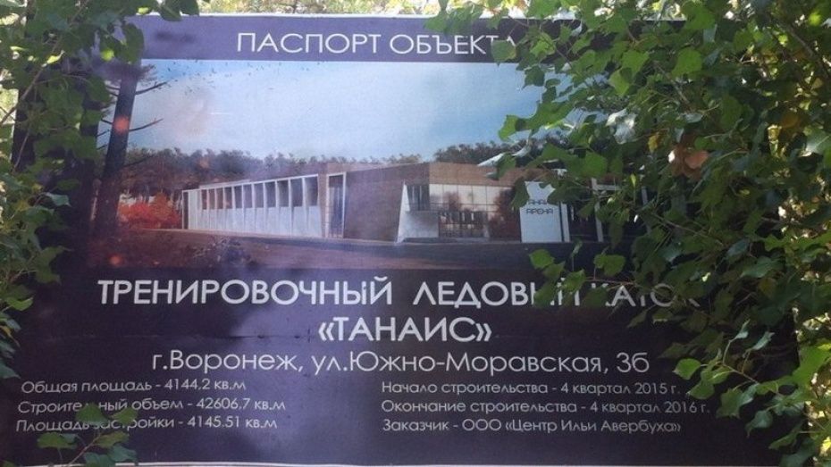 Мэрия Воронежа предложила альтернативные участки для строительства катка