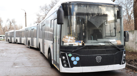 В Воронеж прибыли первые автобусы-гармошки