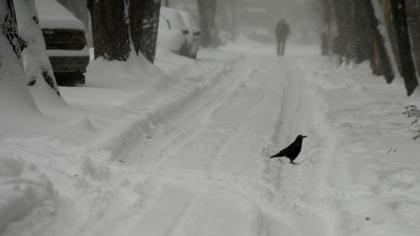 Аномальные морозы в Воронежской области дополнит сильный снегопад