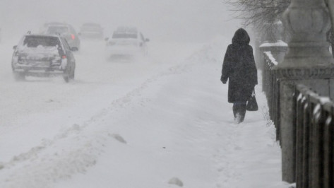 Спасатели предупредили жителей Воронежской области о метели и тумане на 8 марта