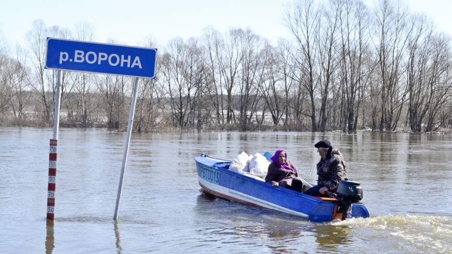 В Грибановском районе открыли переправу через реку Ворона