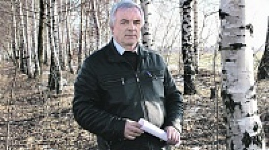 В панинском Прибитюжье в апреле будут заложены участки соснового и березового леса