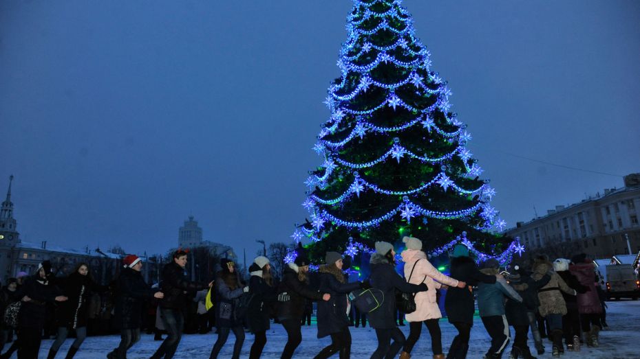 Новогодняя ночь в Воронеже будет морозной и снежной