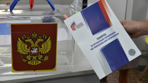 Не пропустила ни одних выборов. Что рассказали воронежцы, проголосовавшие на дому