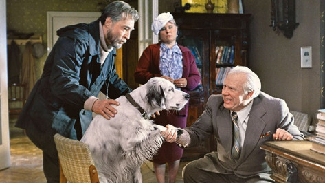 Воронежцам предложили поучаствовать в конкурсе «Бим покорил мир»