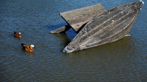 На Воронежском водохранилище перевернулась лодка с людьми