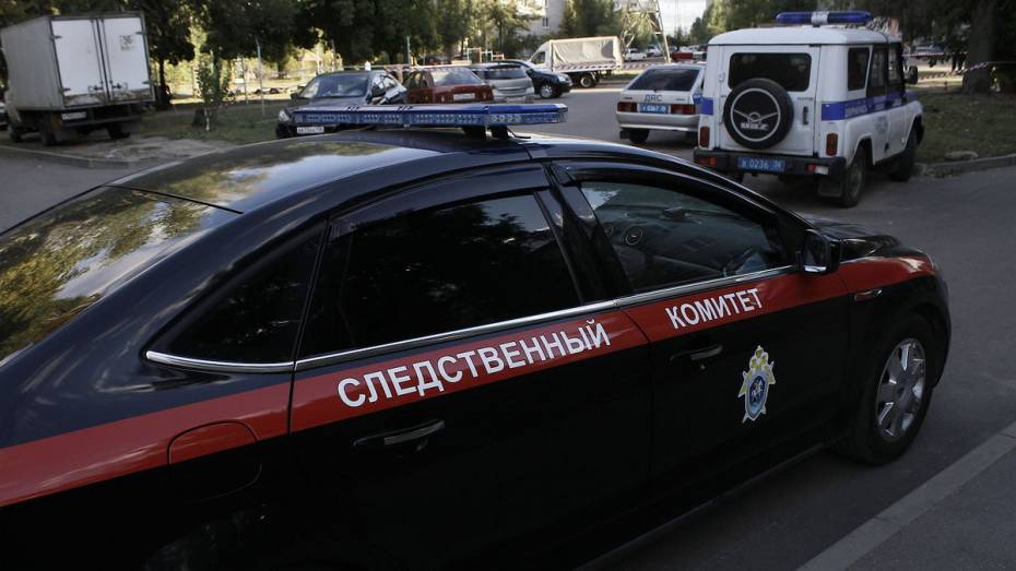 Школьницу жестоко избили ногами в Воронеже: следователи начали проверку