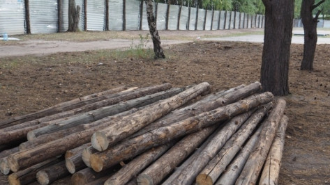 Губернатор поручил снести незаконное ограждение в воронежском парке «Северный лес»