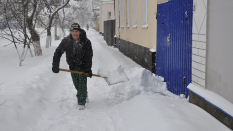 В ночь на воскресенье 28 декабря на Павловск обрушился снегопад 