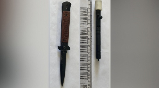 В Воронежской области мужчина принес в суд нож и сигнальную ракету