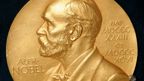 Воронежскую правозащитную организацию номинировали на Нобелевскую премию