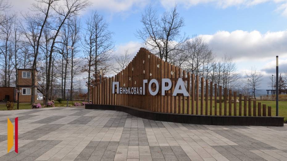 Больше развлечений и новых объектов. В Воронежской области планируют развивать территорию калачеевского парка «Пеньковая гора»