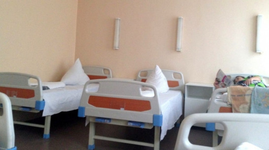 В Воронежской области зафиксировали 329 заболеваний сальмонеллезом за 8 месяцев 2018 года