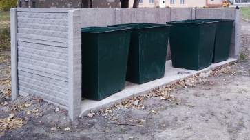 Воронежцев встревожила груда костей в мусорном баке на улице Рылеева