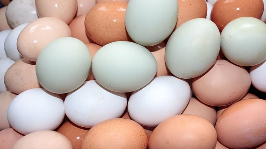Воронежская область предложила экспорт мяса и яиц в Израиль