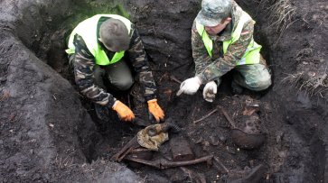 Воронежские поисковики нашли останки 12 красноармейцев в яблоневом саду 