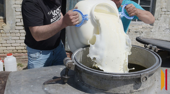 Пять жителей Воронежской области задержаны за кражу молока на 20 млн рублей