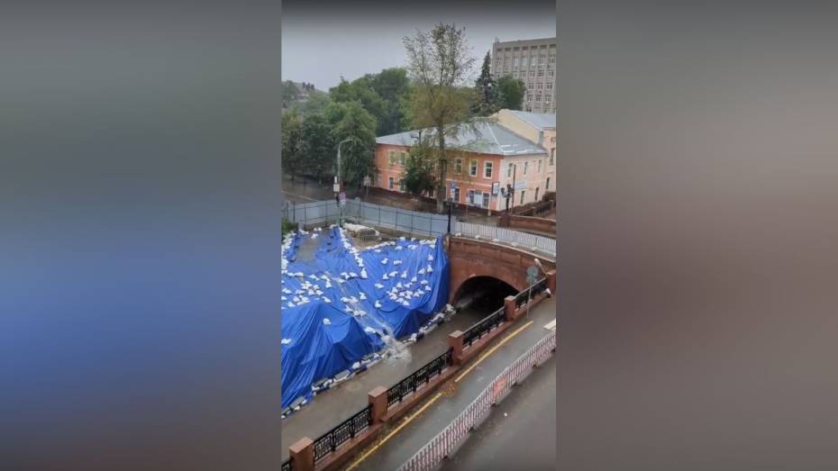 Воронежцы сняли на видео текущие с подпорной стены Каменного моста потоки воды