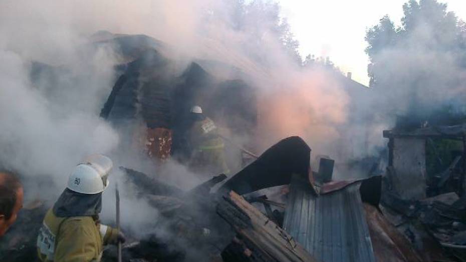 В Воронежской области 27-летний мужчина погиб при пожаре