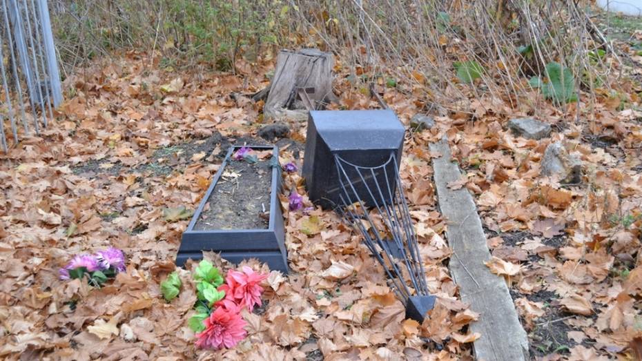 В Воронежской области вандалы разгромили 32 могилы на старинном кладбище
