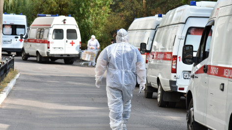 Сообщения об угрозе вспышки холеры в Воронеже назвали фейком