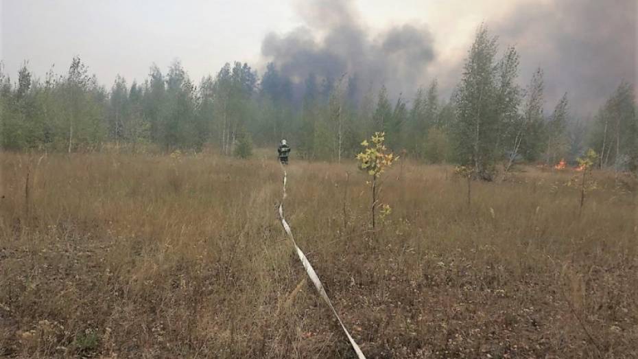 Пожар на полигоне «Погоново» в Воронежской области ликвидировали