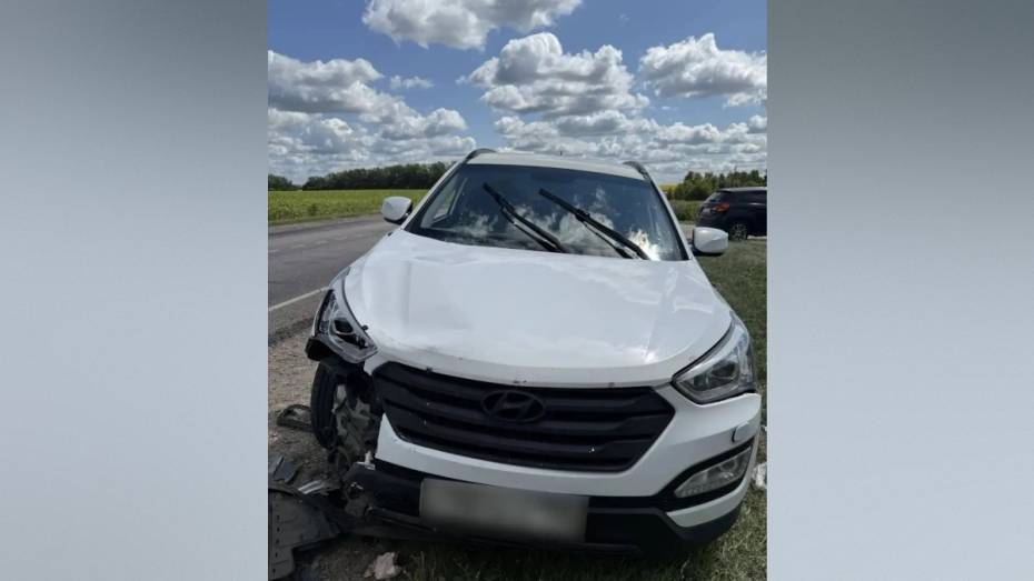 В Воронежской области Hyundai врезался в мотоцикл: пострадали 2 человека